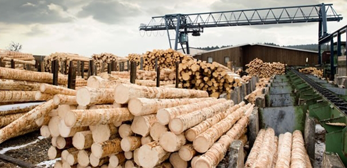 Saw mill industry